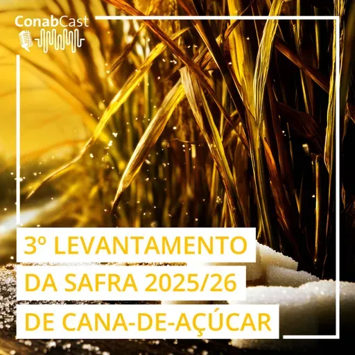 Clima adverso impacta produção de cana estimada pela Conab em 666,4 milhões de toneladas na safra 2025/26