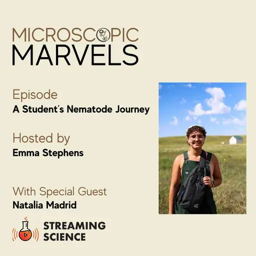 Microscopic Marvels: Natalia Madrid