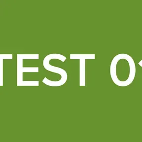 TEST 01
