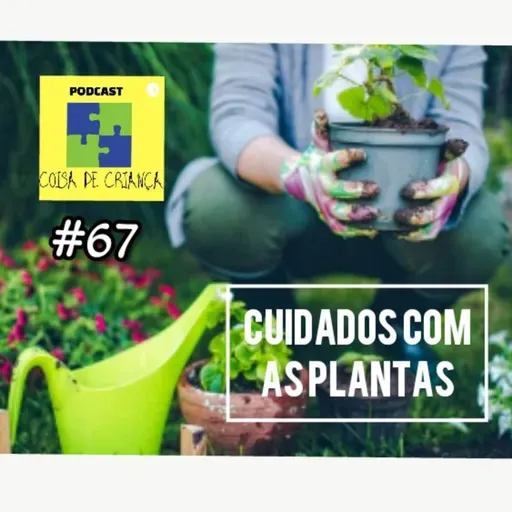 #67 cuidados com as plantas