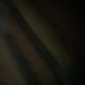 RoxxAmoxWil