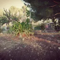 Cuentos Rumanos:Prólogo.