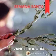 DOMINGO DE RAMOS DA PAIXÃO DO SENHOR | 29 MAR 26 | Mt 21,1-11