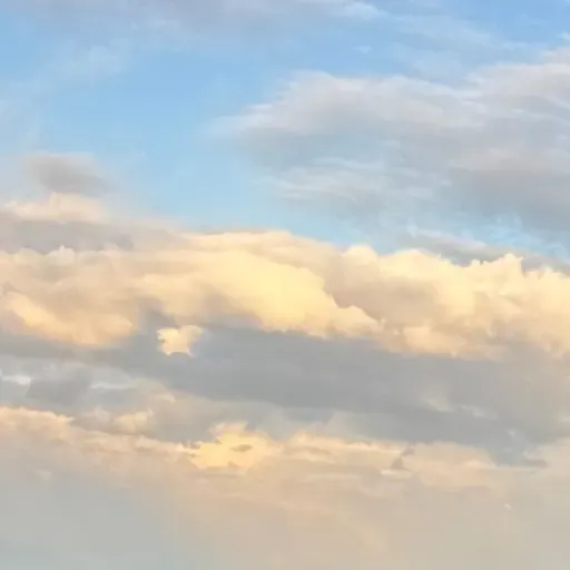 Bk. 1, Pt. 3., Ch. 16: Oh, Chapter of Chapters!