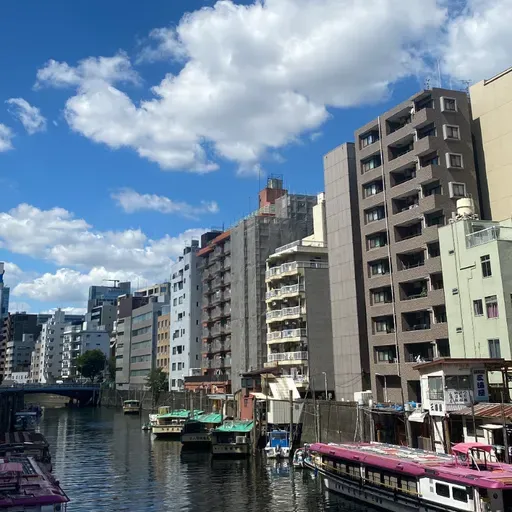 № 178 — Япония, Вьетнам (с Полиной)