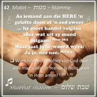 Parashat Matot