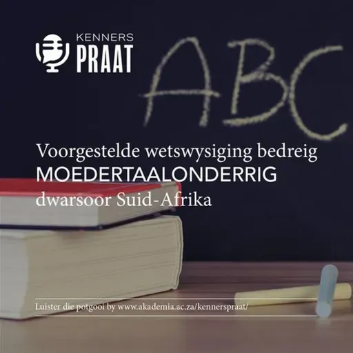 Hoe bedreig die voorgestelde wetswysiging moedertaalonderrig?