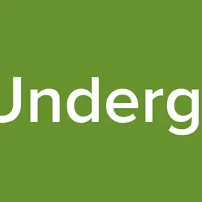 Los Santos Underground Radio