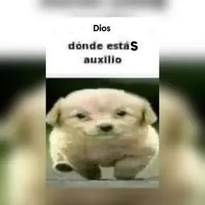 Rock del bueno