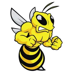 BEEHIVE XM