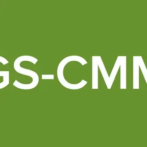GS-CMM