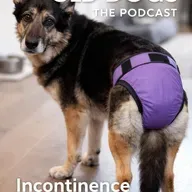 When Old Dogs Become Incontinent: Real Life Care and Compassion