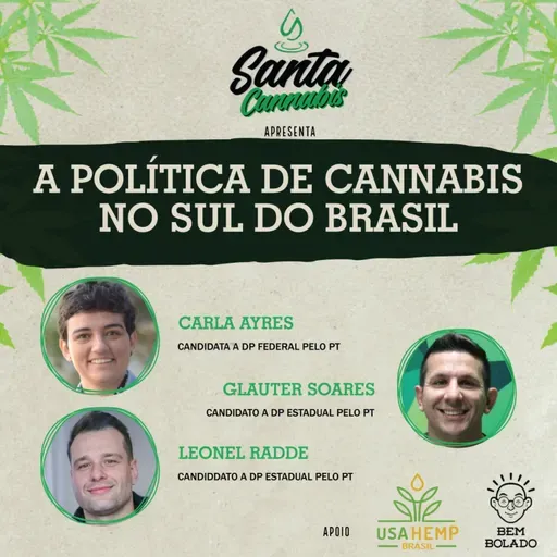 A política de Cannabis no Sul do Brasil