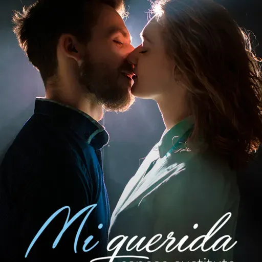 Mi querida esposa sustituta novela audiolibro Capítulo 3 Reunión en el lugar de siempre