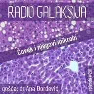 Radio Galaksija #201: Čovek i njegovi mikrobi (dr Ana Đorđević) [11-11-2025]