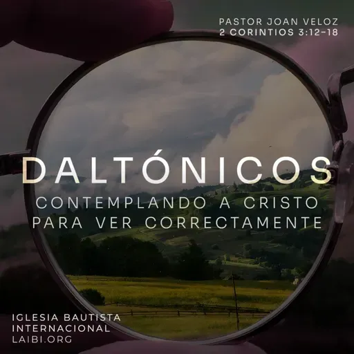 Daltónicos: contemplando a Cristo para ver correctamente