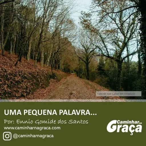 Viver santo enquanto esperamos