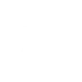 RADIO FLAMES