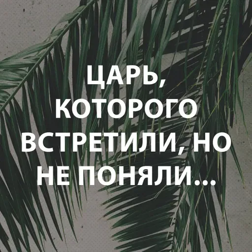 Пупышев Игорь - Царь, Которого встретили, но не поняли
