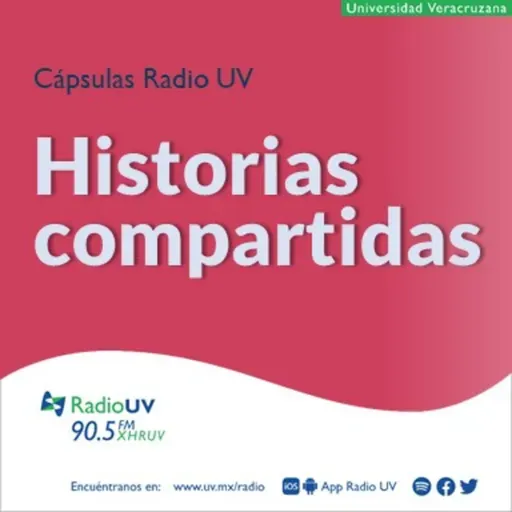 Historias Compartidas - Asignatura pendiente: Faride Ruiz Haddad