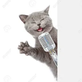 dikkehitsradio