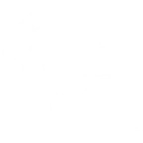 Droogies