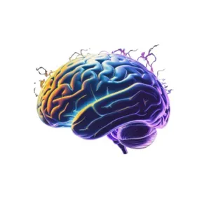 Ultimate Guide to Nootropics