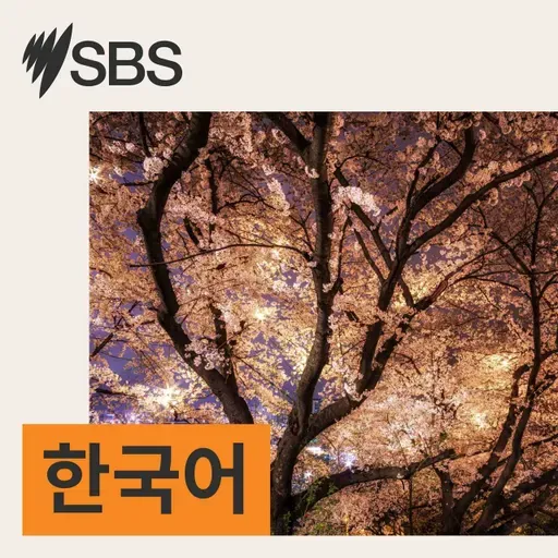 "가격 올리고 다시 내렸다"...콜스 '다운 다운' 허위 할인 법정 패소