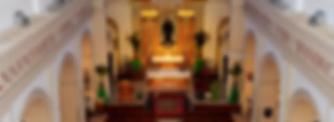 Crónicas de San Pedro Alcántara