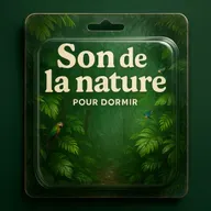1 H Bruit Blanc pour DORMIR | Balade dans la nature