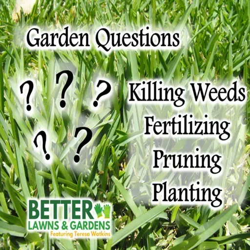 S2 Ep437: Better Lawns and Gardens - Hour 2 Spring Garden Chores March 21, 2026
