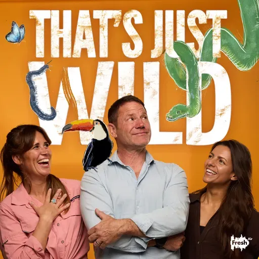 Fiery: Blazing Tornadoes, Wild Horse Heroes and Fire-Hunting Hawks