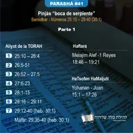Parashá #41 Pinjás / Parte 1