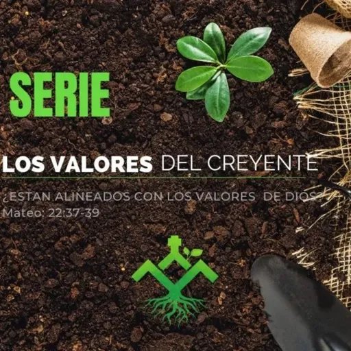 3 PRACTICANDO LOS VALORES