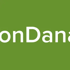 VizyonDanadys