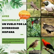 177. 🕊️Aves Nacionales: Un vuelo por la diversidad hispana 🐦‍⬛