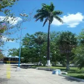 CTA MUSICA INFO