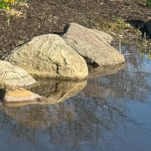 Sevastopol Sketch II (Part 2 of 3): Mikhailov & Co.