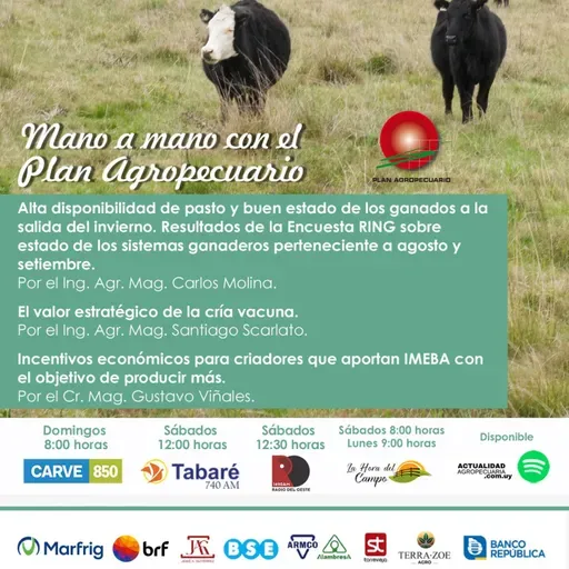 Resultados de la Encuesta RING. Valor estratégico de la cría vacuna. Incentivos económicos para criadores que aportan IMEBA.