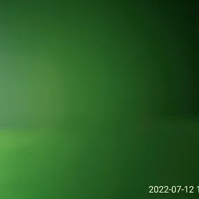 Real hasta muerte
