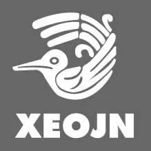 XEOJN La Voz de la Chinantla en vivo