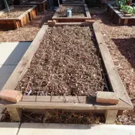 Winter Garden Cleanup Tips