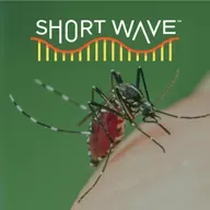 Does It Feel Like Mosquitoes Are Getting Worse?