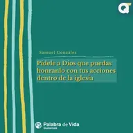 MIERCOLES 08-04-2026