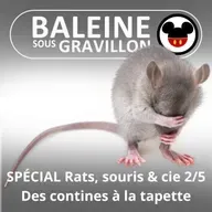 SPÉCIAL Rats, souris & cie 2/5 : La petite souris, de l'oreiller à la tapette