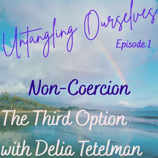 S1E1 - Non-Coercion: The Third Option with Delia Tetelman