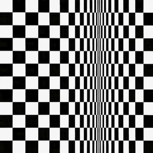 Bridget Riley | Movement in Squares (encore)