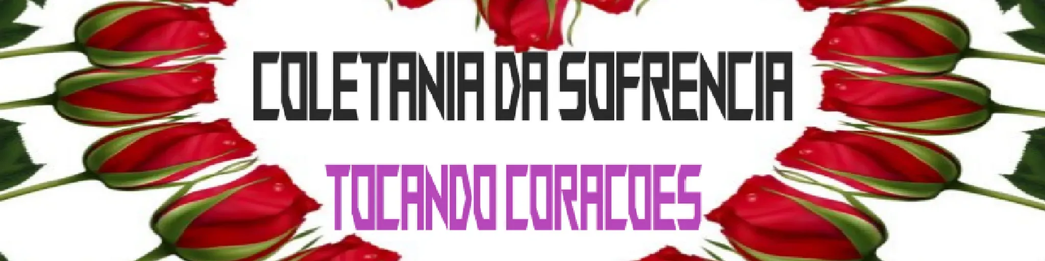 Guepardo Mídia