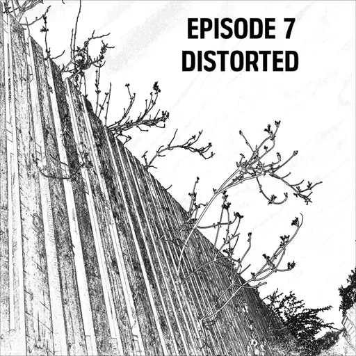 S1: E07 - Distorted