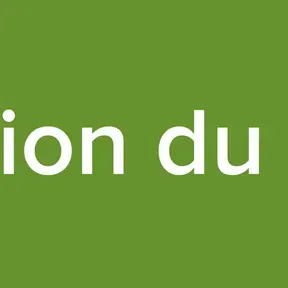 Radio Vision du Royaume